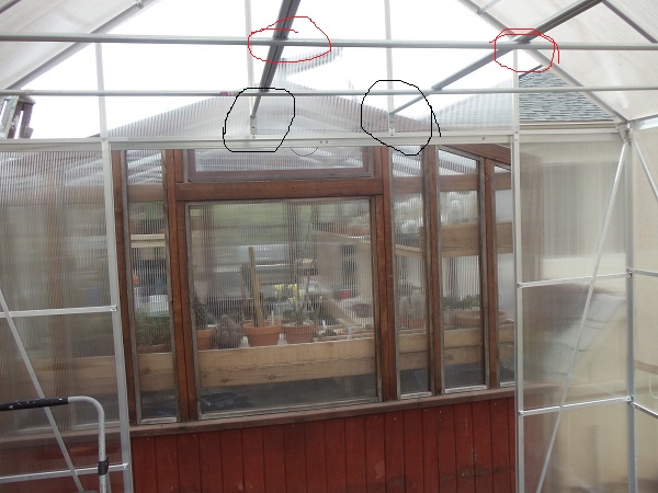 Black circles the purlins attached to the frame over the door.  No extra support until I added the support.  Red circles show the new ceiling joist attached to the purlins.  Now the greenhouse has proper support.  5 rafters added and two purlins. Door area had no header to support the door.