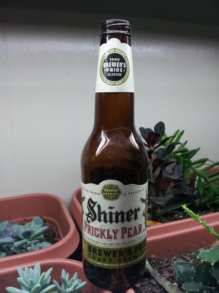 Shiner Prickly Pear 20140204_213822.jpg