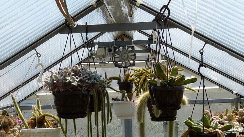 171_Greenhouse.JPG