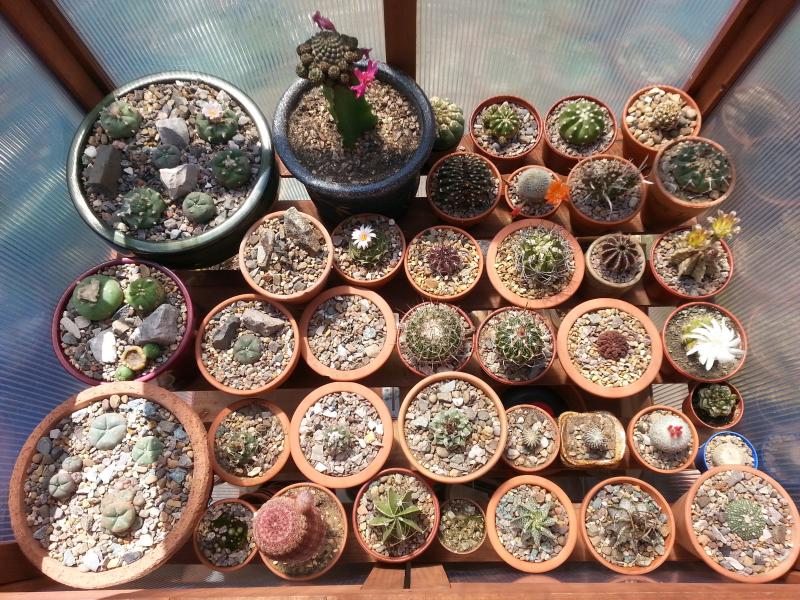 Most of my plants