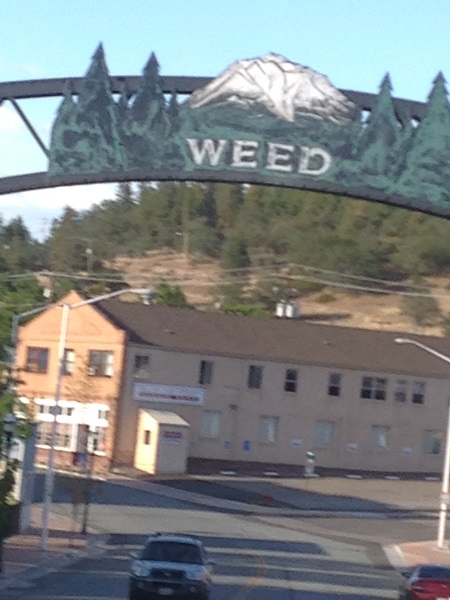 Back in California, Weed, CA