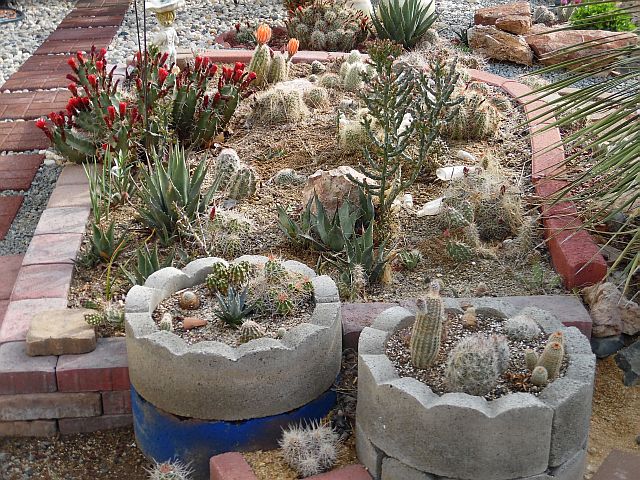 garden8.jpg