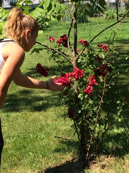Glad to see atleast one kids interested in stopping to smell the roses and study them!