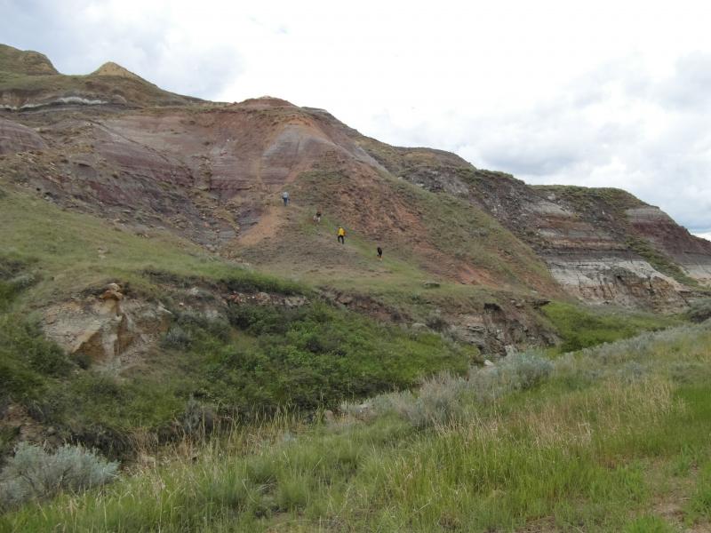 The habitat around Red Deer river