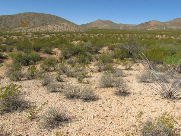 Scenery with mine tailings.JPG