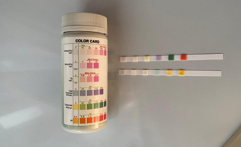 The result of tap water (up); the strip fresh from its container (down)