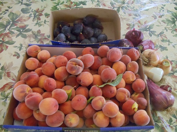 May peaches and Mission figs
