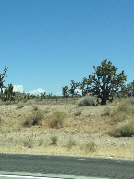 Some where in Mojave, 109 degrees