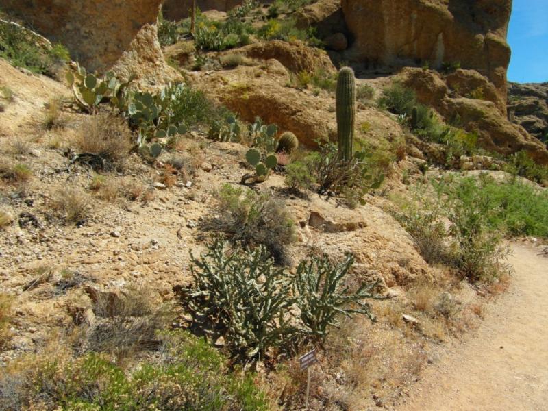 hiking trail