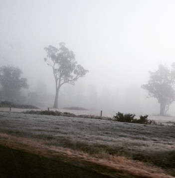 Tasmanian frost