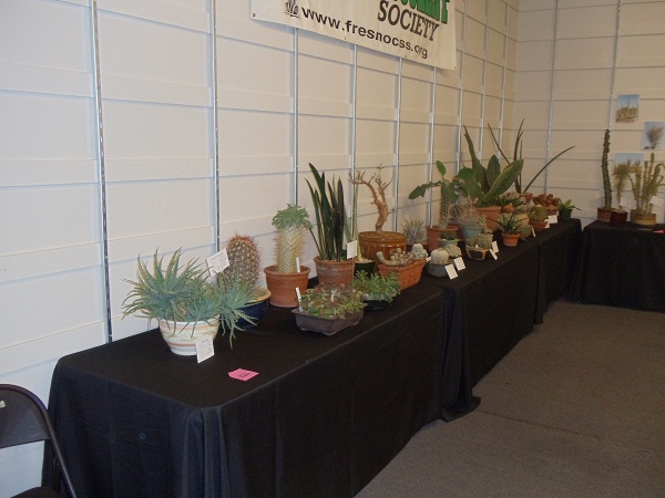 Show table.