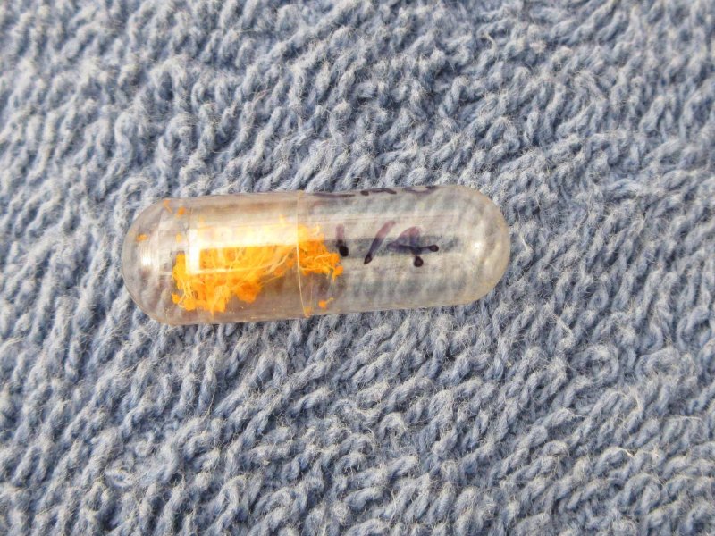 Pollen in a capsule