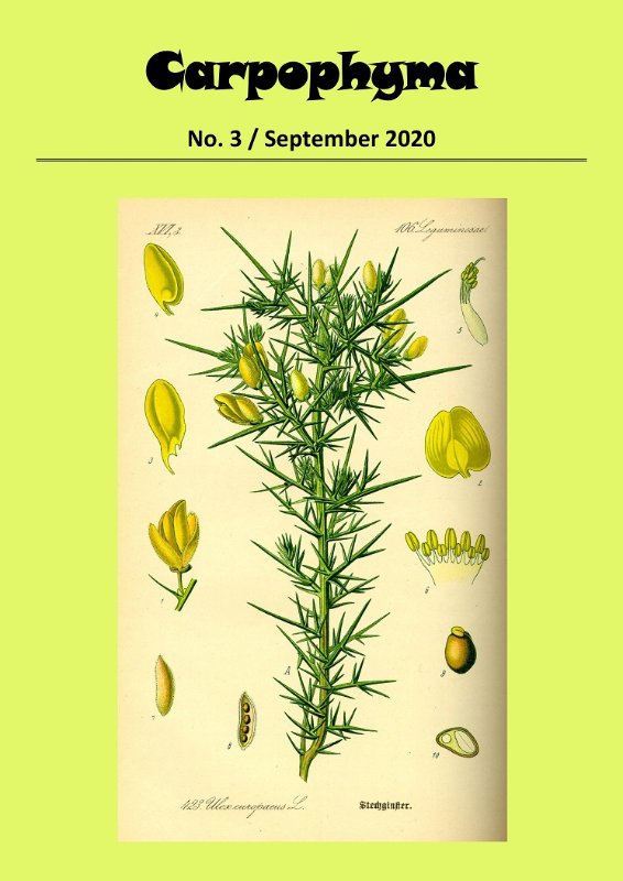 Carpophyma 3 - September 2020 - cover - small.jpg