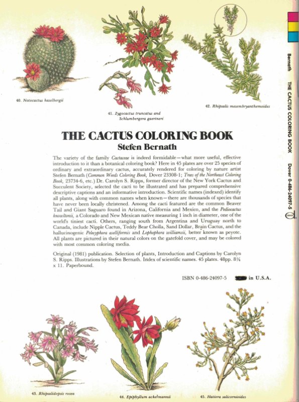 rsz_cactus_coloring_book.jpg