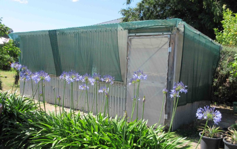 Small greenhouse