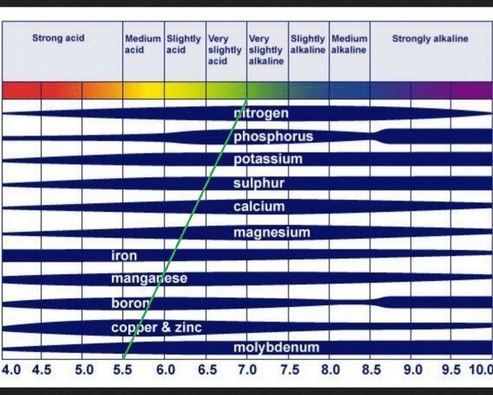 pH_nutrient_ availability_ chart02.jpg
