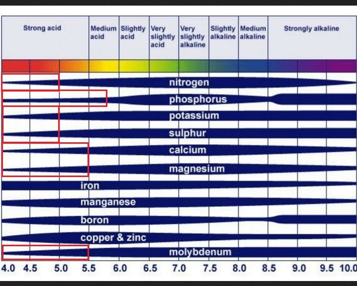 pH_nutrient_ availability_ chart04.jpg