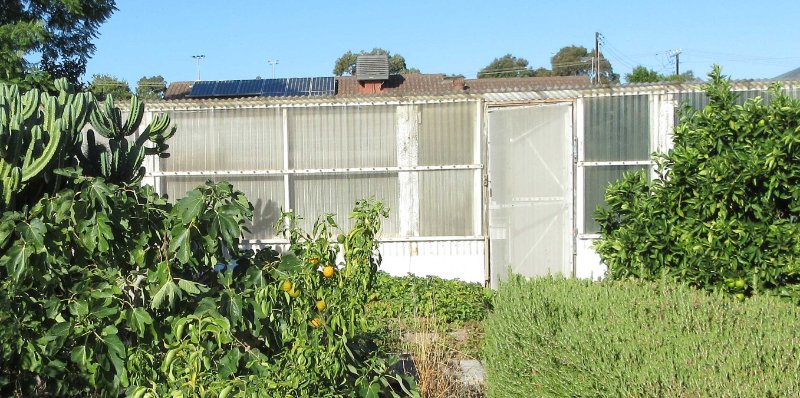 Large greenhouse after removed shade clothes