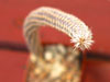 Echinocereus leucanthus