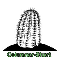 Columnar-Short