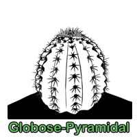 Globose-Pyramidal