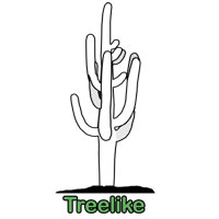 Treelike